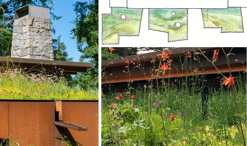 2019 ASLA住宅设计类荣誉奖:惠德比岛住宅景观-77