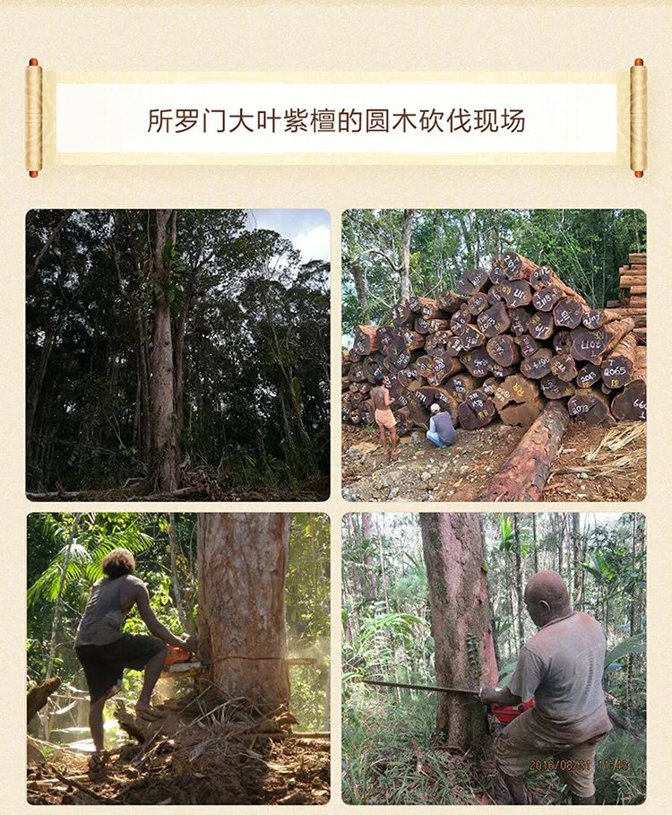 珍宝级原木家具,传世奢华之选-8