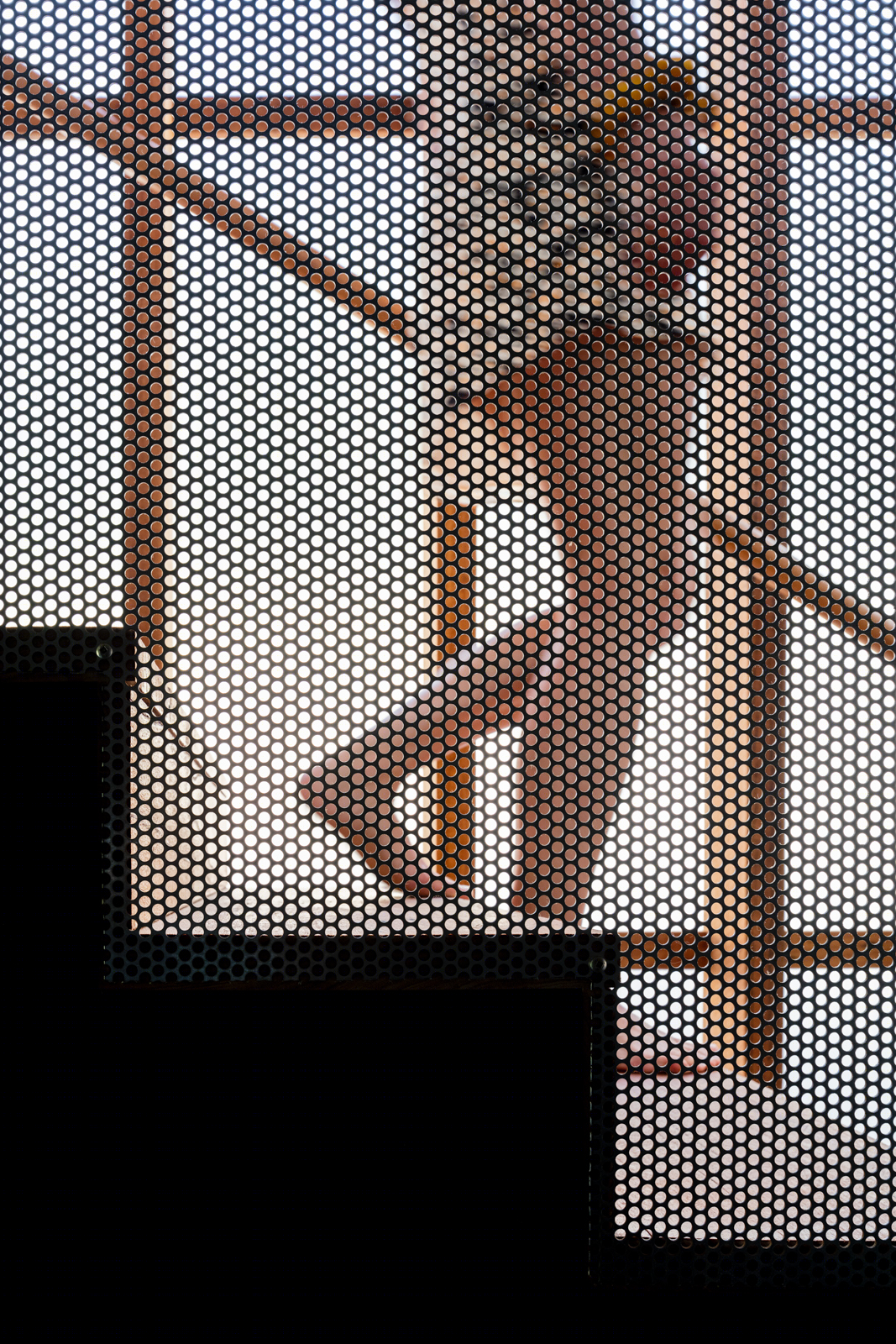 悉尼蓝山度假别墅丨澳大利亚悉尼丨Matthew Woodward Architecture-52