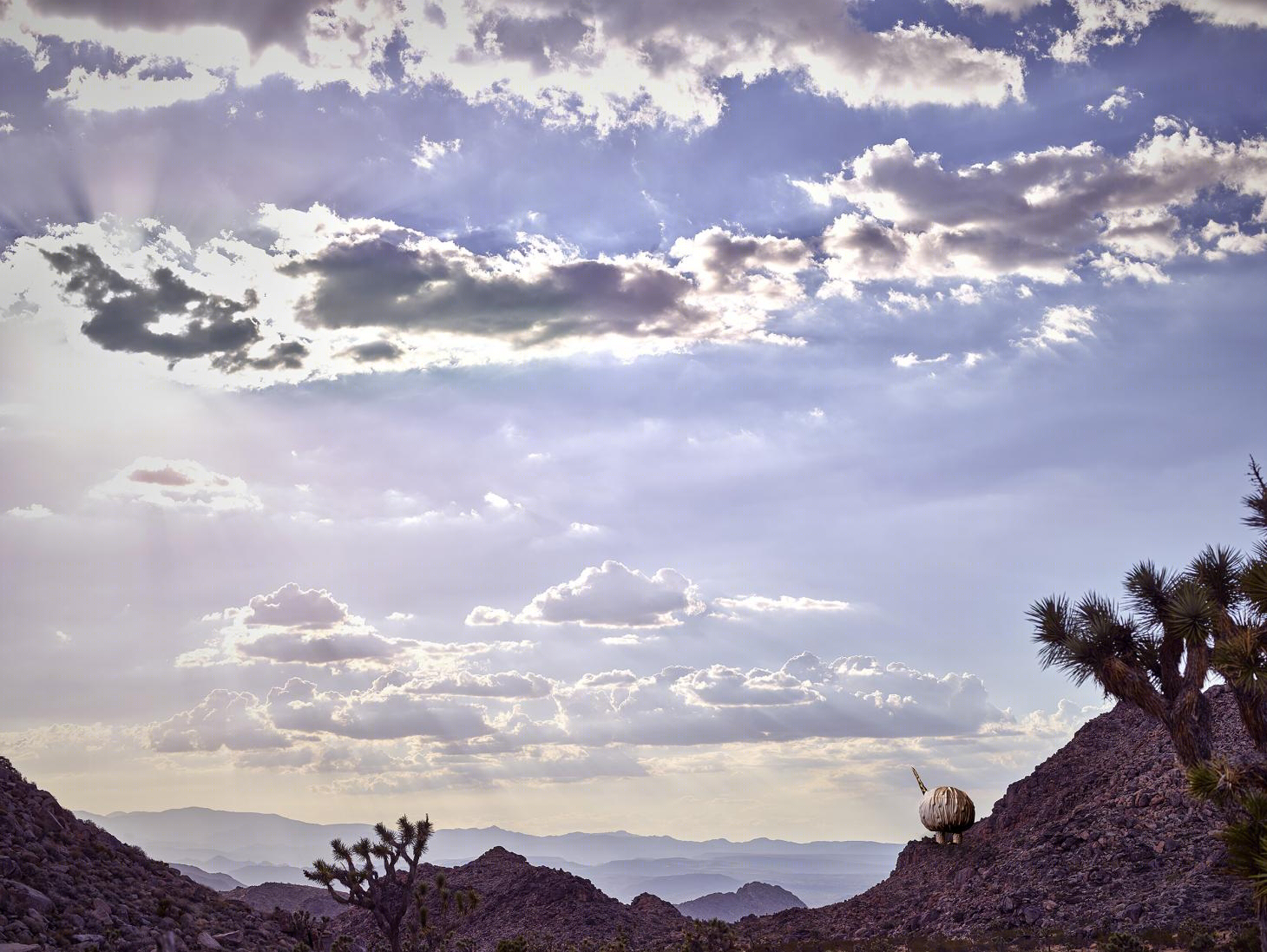 奇幻陶瓷 | Joshua Tree 中的 Haas L’Objet collection-49