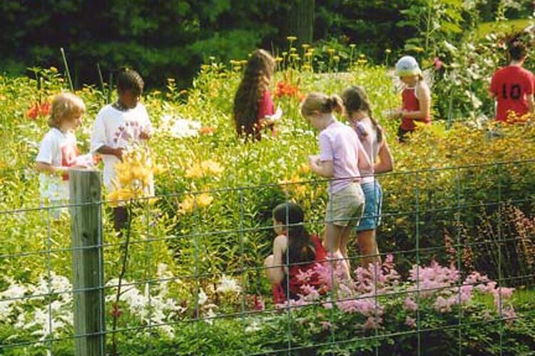 美国波士顿自然中心 (Boston Nature Center)-20