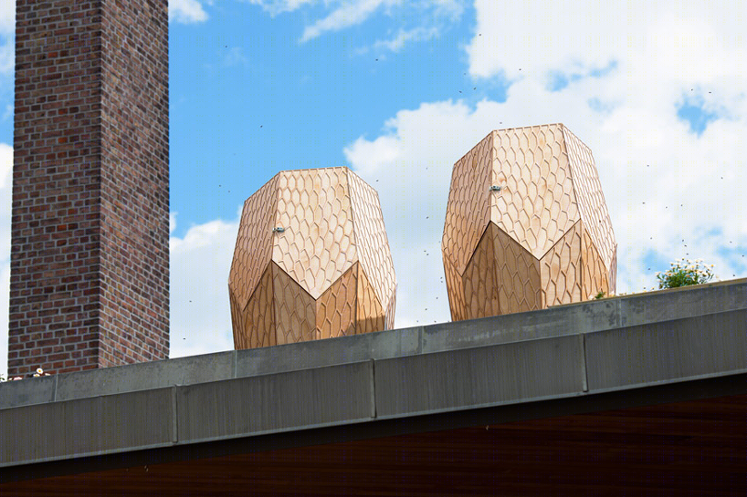 挪威奥斯陆“蜂箱”景观丨Snøhetta建筑事务所-15