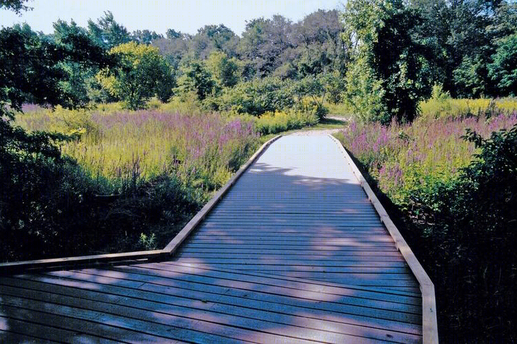 美国波士顿自然中心 (Boston Nature Center)-21