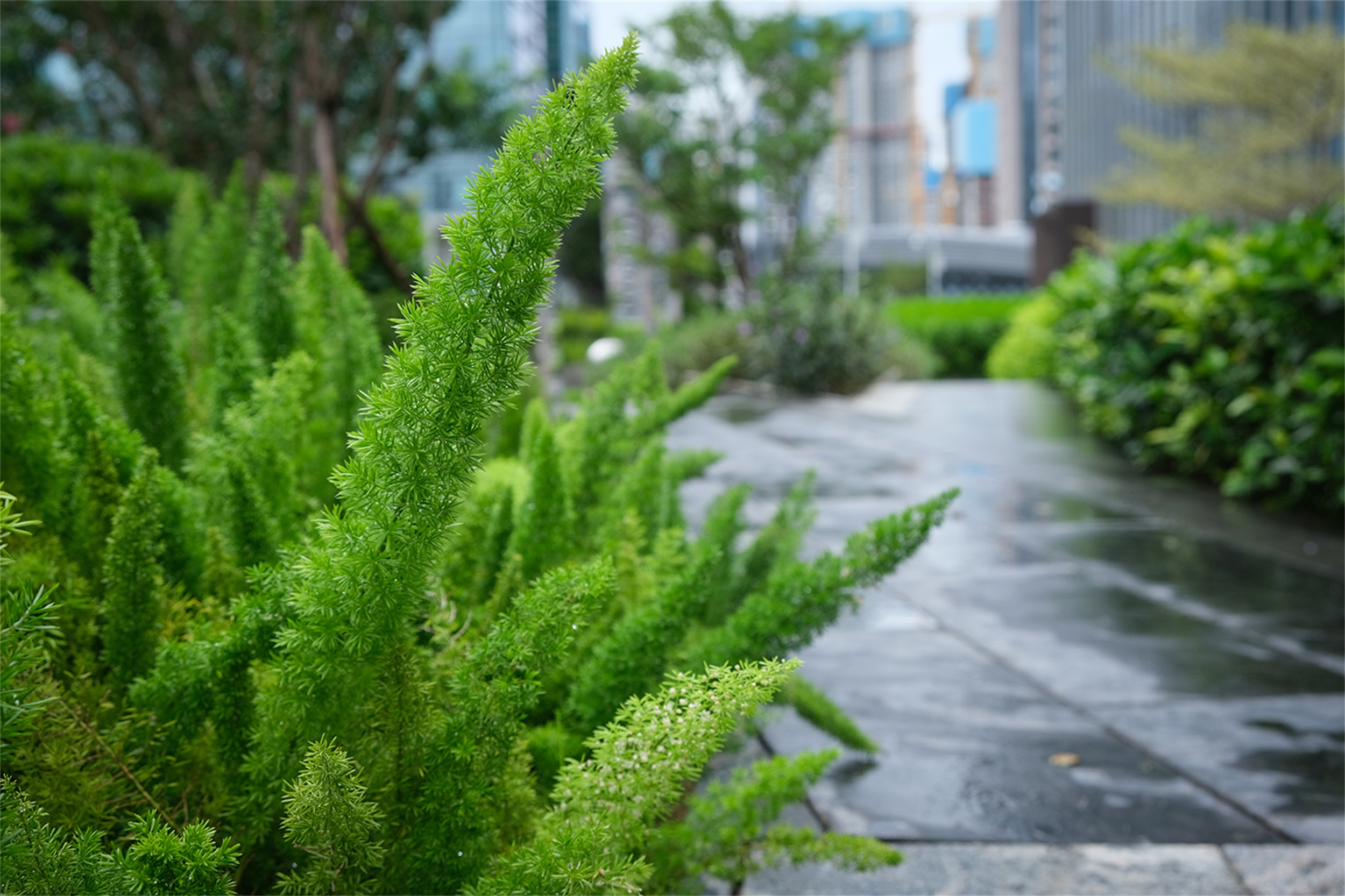 深圳水贝珠宝艺术花园丨中国深圳-152
