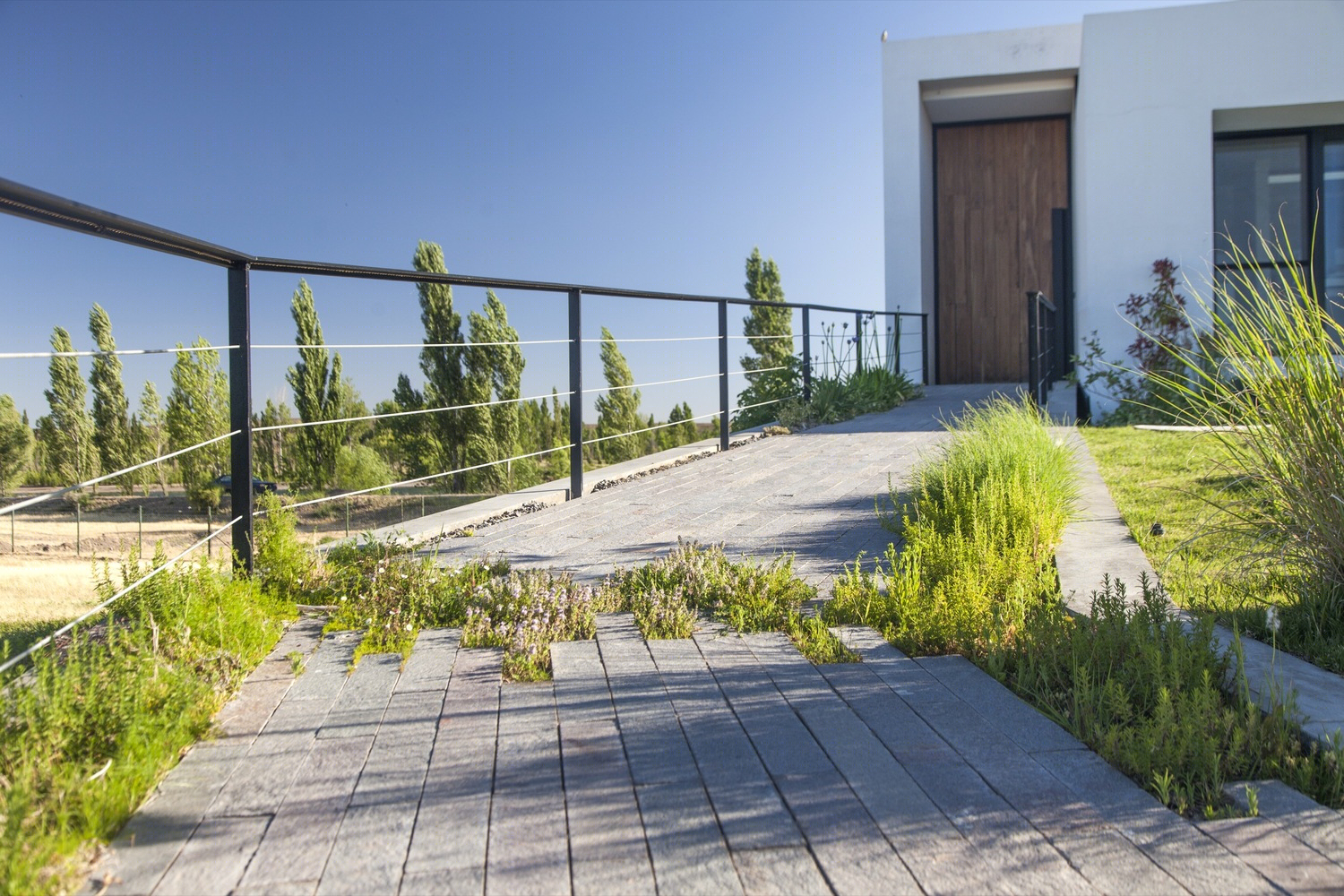 阿根廷 Rampa 住宅丨Andrés Remy Arquitectos-39