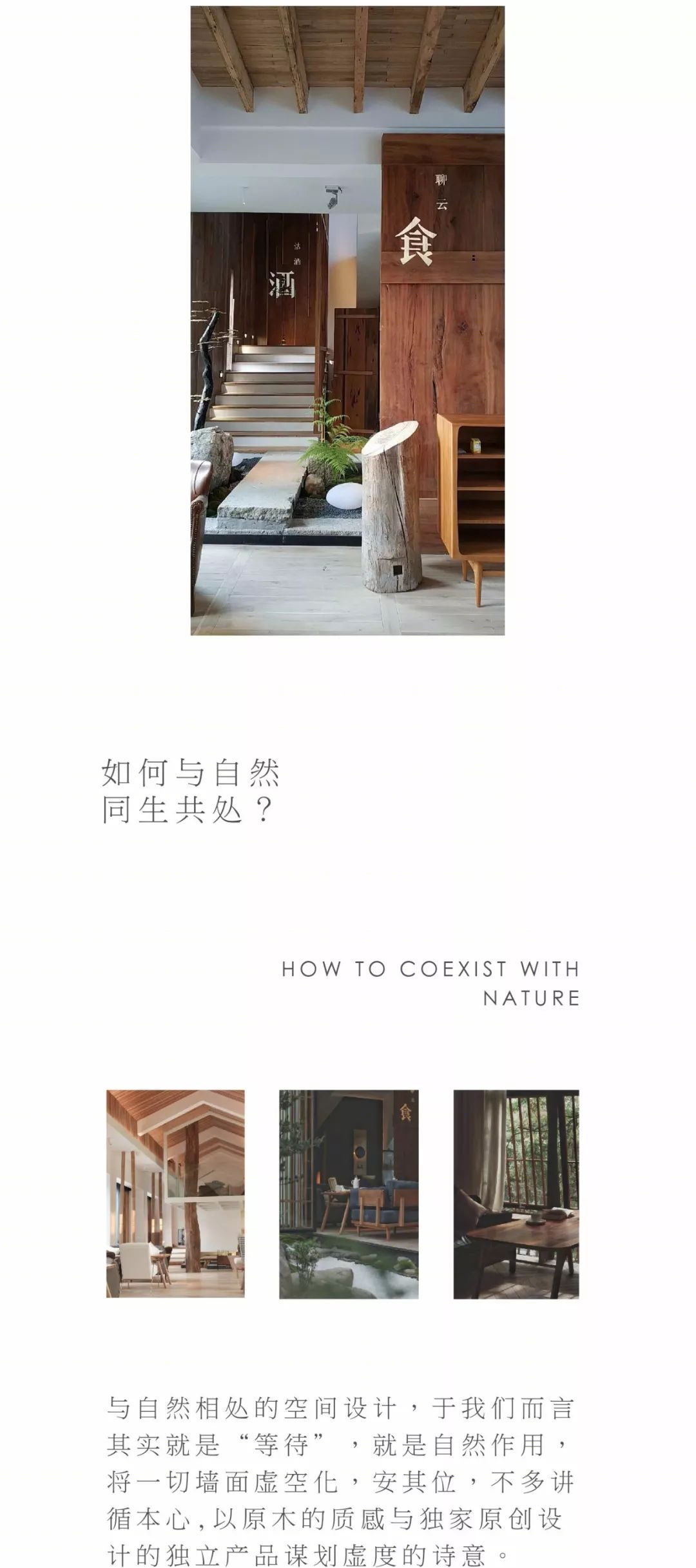美栽堂设计简史 | 探寻空间与自然的生长力量-85