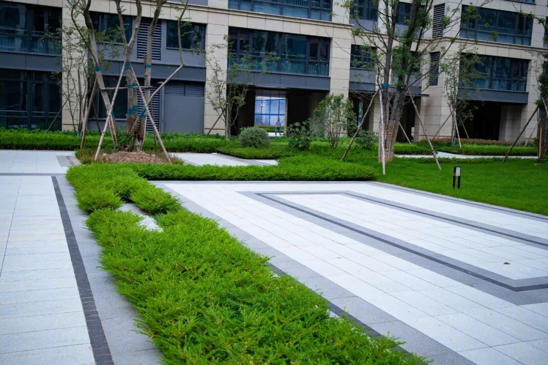 银湖区块安置房建设项目（6#安置地块）EPC工程总承包项目丨中国杭州丨中天建设集团建筑设计研究院-55