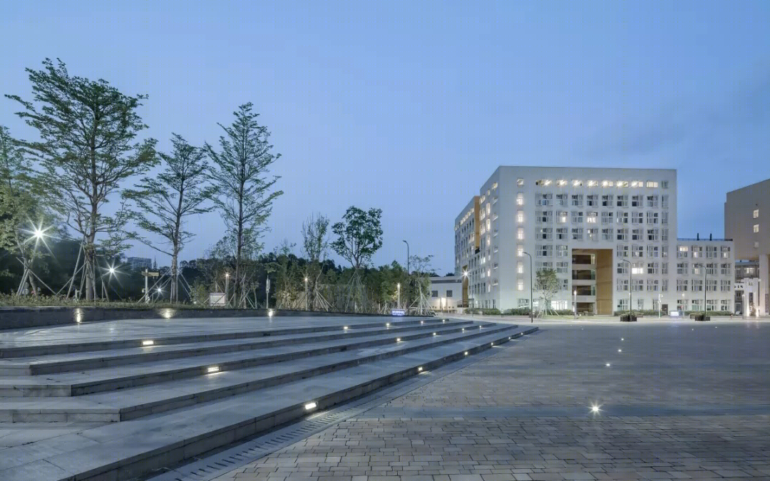 香港中文大学思廷学院-30