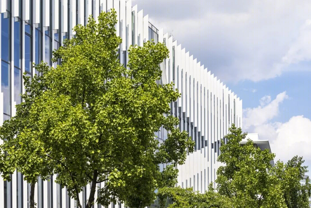 巴黎 Shift 大楼翻新 | 现代办公空间的创新实践-21