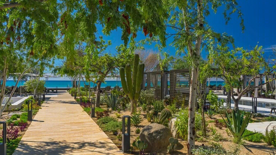 墨西哥 SOLAZ LOS CABOS 豪华度假酒店——沙漠与大海的完美融合-49