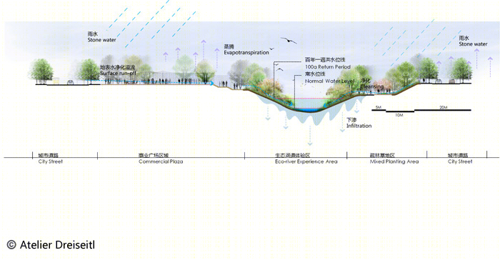 重庆双溪河生态治理景观 · 戴水道设计公司的绿色城市公园-31