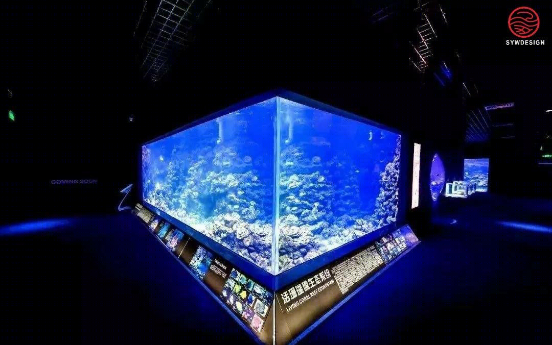 
海洋馆展示工程（海洋区） -9