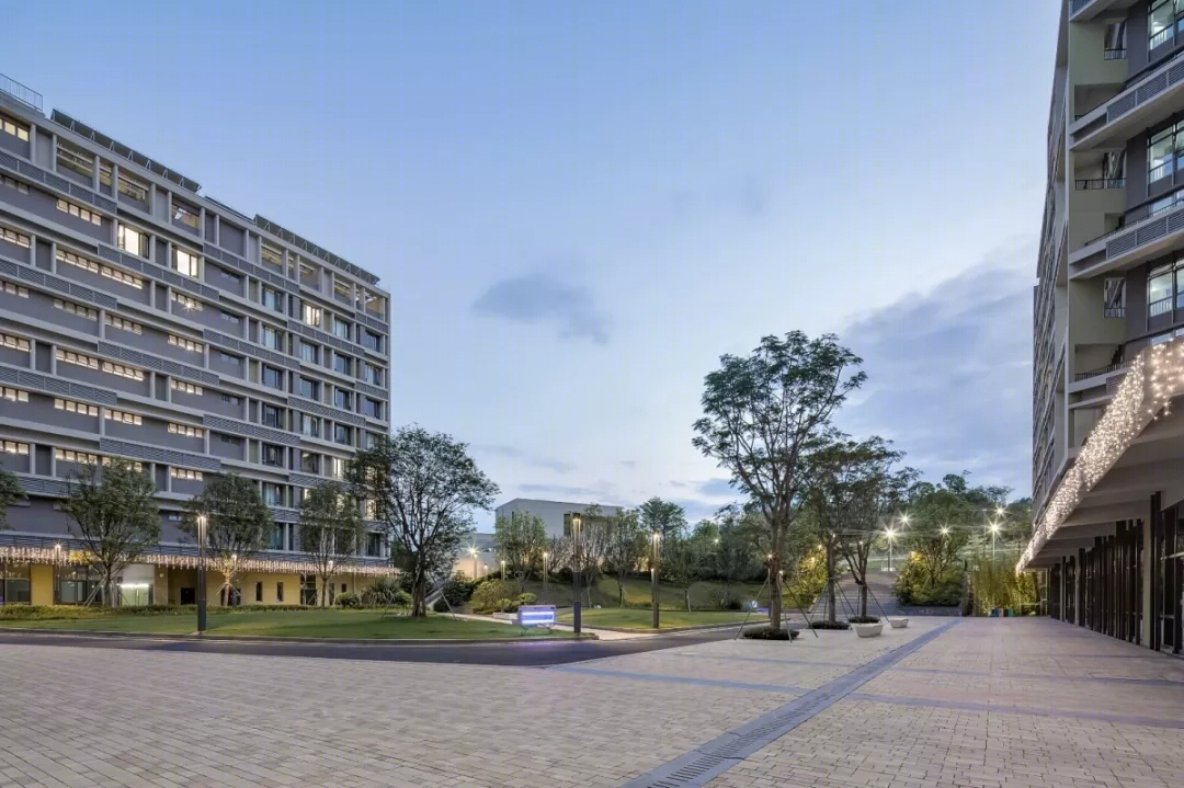 香港中文大学思廷学院-33