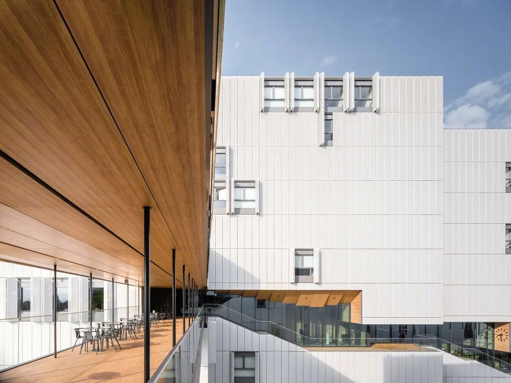 早稻田大学村上春树图书馆丨日本东京丨隈研吾建筑都市设计事务所-132