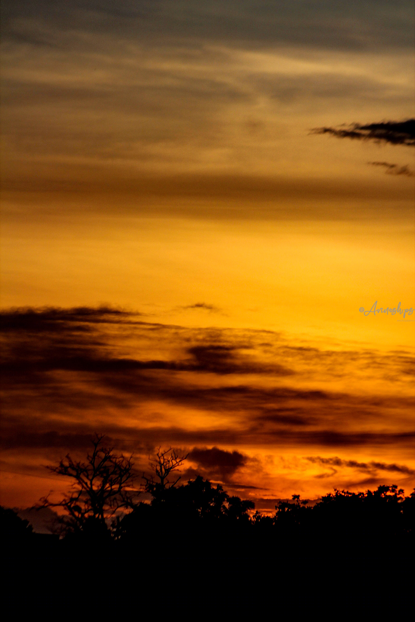 Sky_Clicks-0