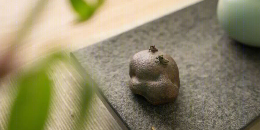 微整空间 | 厦门别墅的优雅蜕变-0