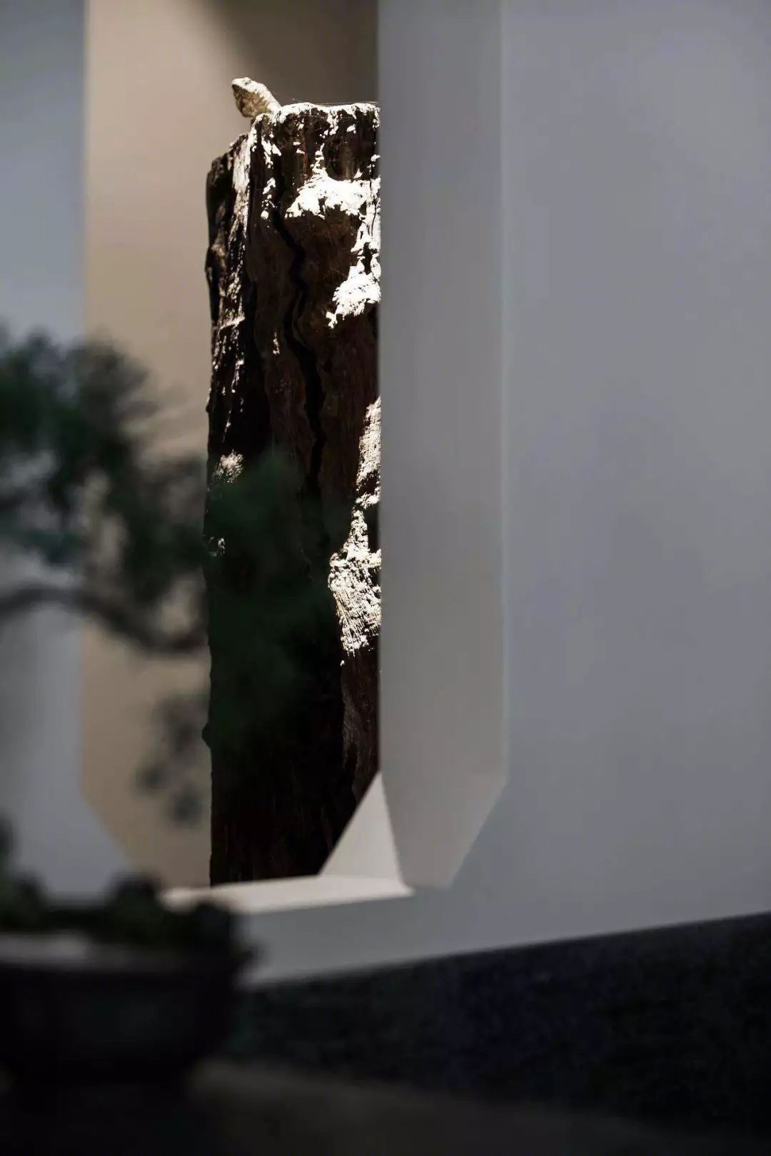 曦所 | 墨香茶韵的中式藏馆,小而美的生活空间-32