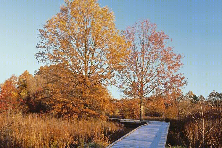 美国波士顿自然中心 (Boston Nature Center)-23