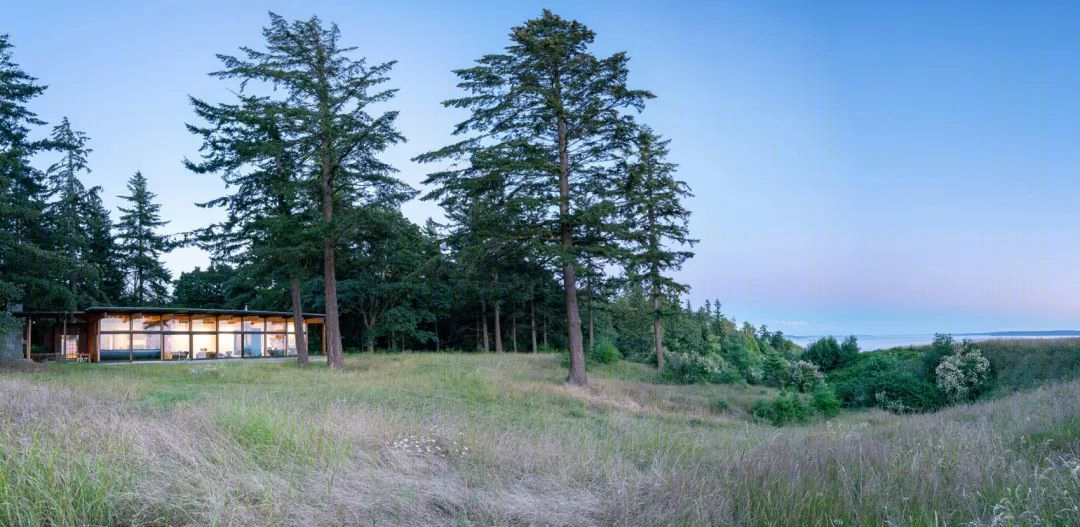 2019 ASLA住宅设计类荣誉奖:惠德比岛住宅景观-94