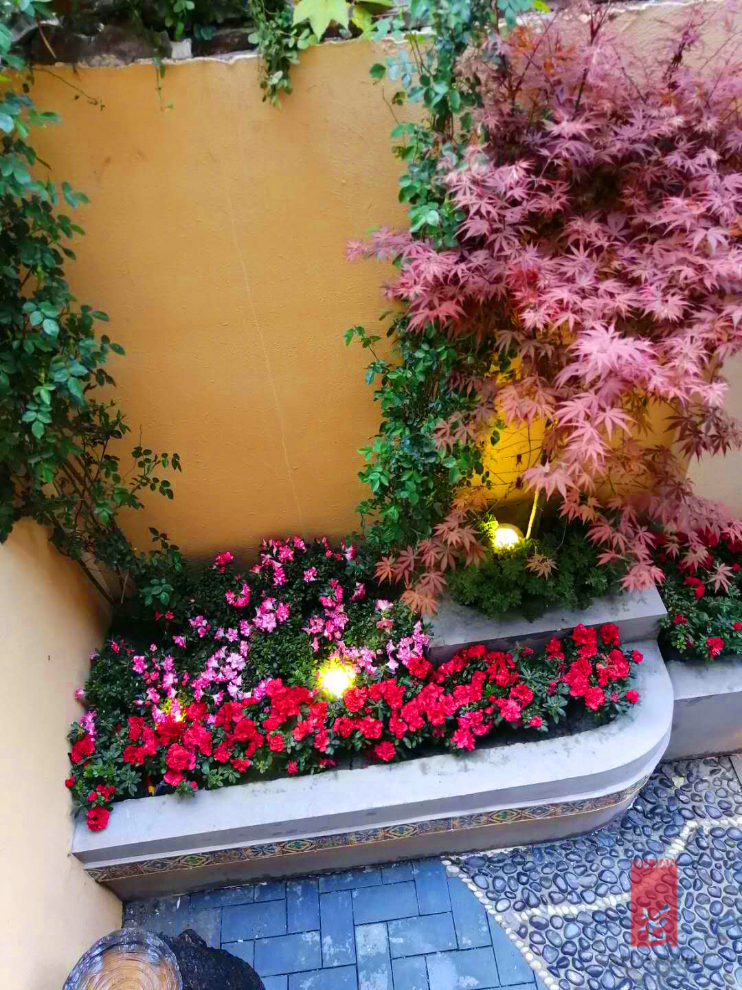 私家主题花园-6