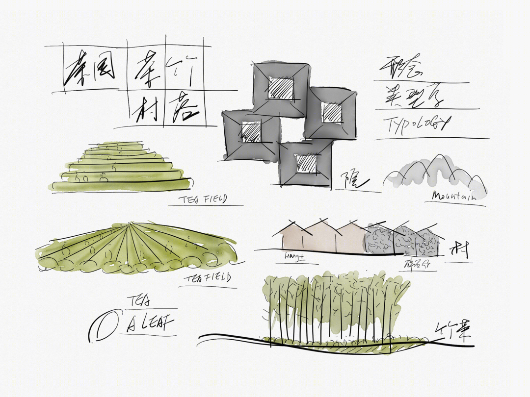 安吉子藤 K12 国际公学丨中国浙江丨HATCH Architects 汉齐建筑-15