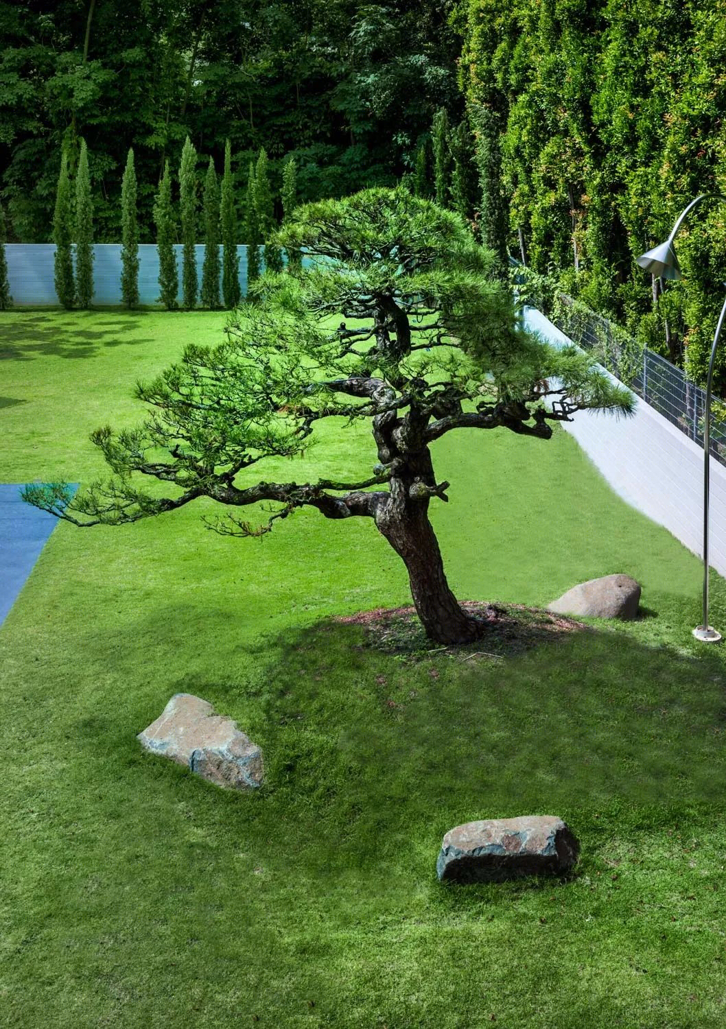 隐蔽的房子 / 隐藏的房屋丨新加坡丨TA.LE Architects-24