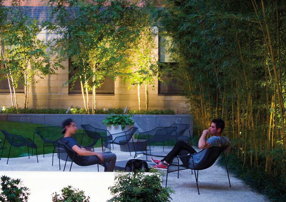 美国Gotham West住宅屋顶庭院-11