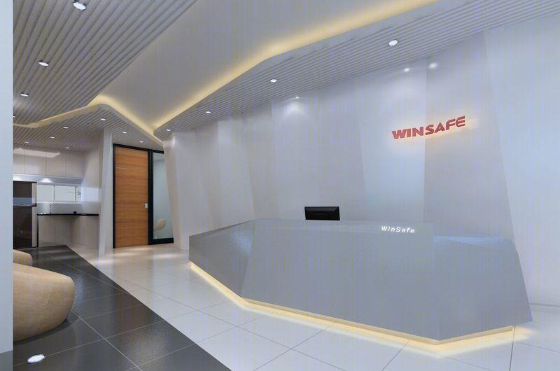 德国Winsafe上海张江办公楼-23