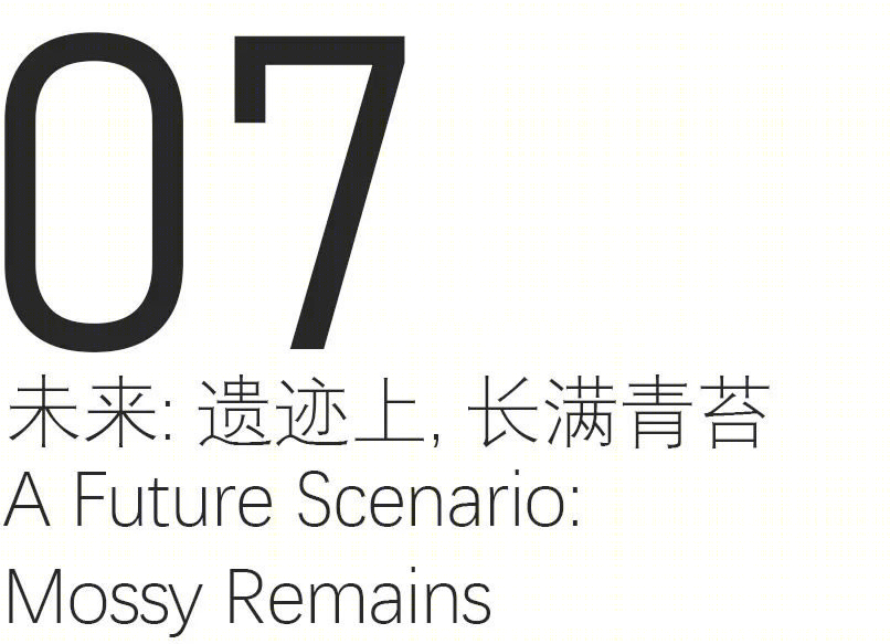唐家河自然教育中心丨中国四川丨合造社-103