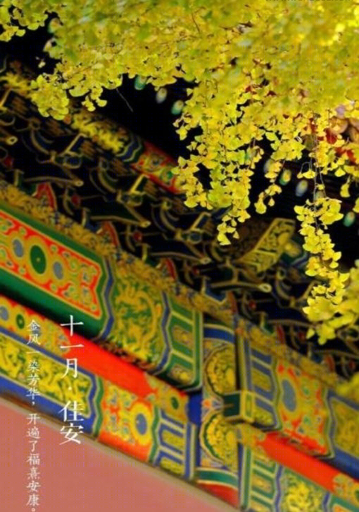 银河国际-10