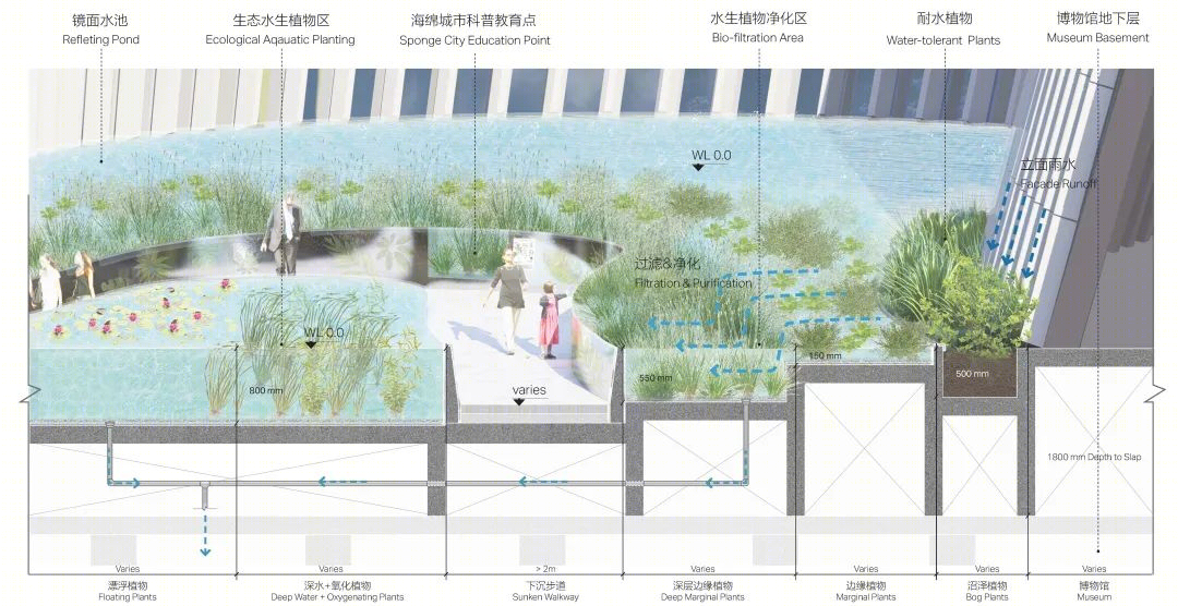 深圳自然博物馆丨贝加艾奇(B+H),3XN,筑博设计（联合体）-106