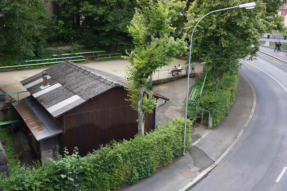 绿意盎然瑞士小岛 | 生态景观的清新之作-11