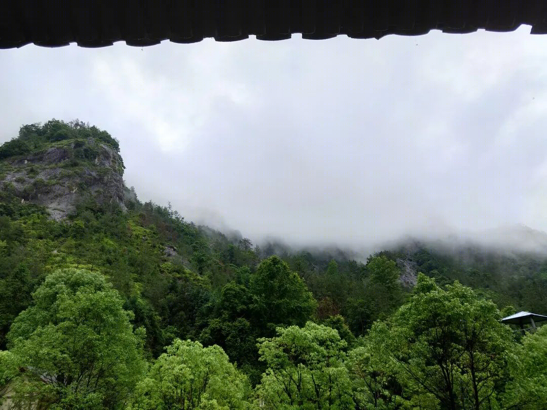 永嘉百丈瀑布之旅——清欢之始,自然之美-40