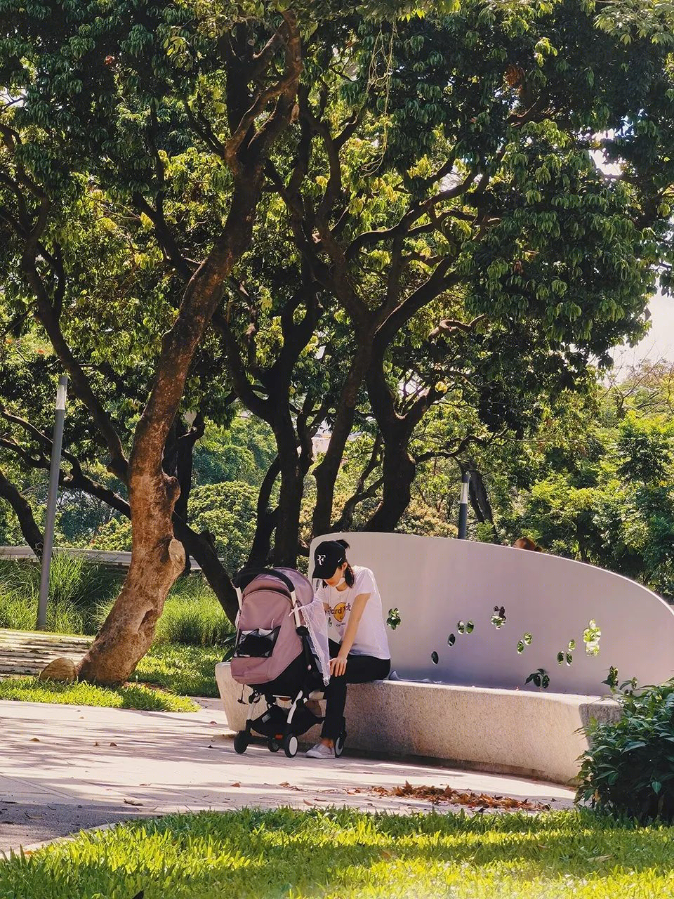 福田中康社区 | 56 棵荔枝树打造的多层次台地公园-53