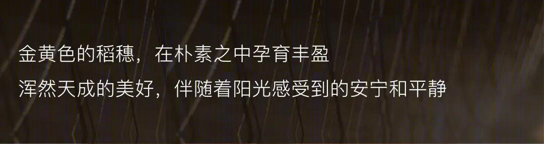 盘古空间 I 合景·海南云上售楼部：原生田园式人居生活-16