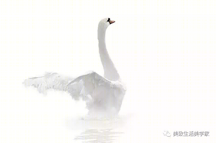 爱马仕橙点亮轻奢空间,细节尽显精致尊贵-71