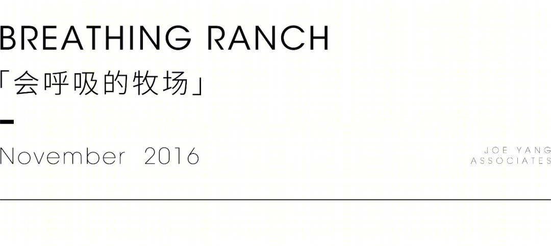 澳洲风情户外花园丨澳大利亚丨JOE YANG ASSOCIATES-1