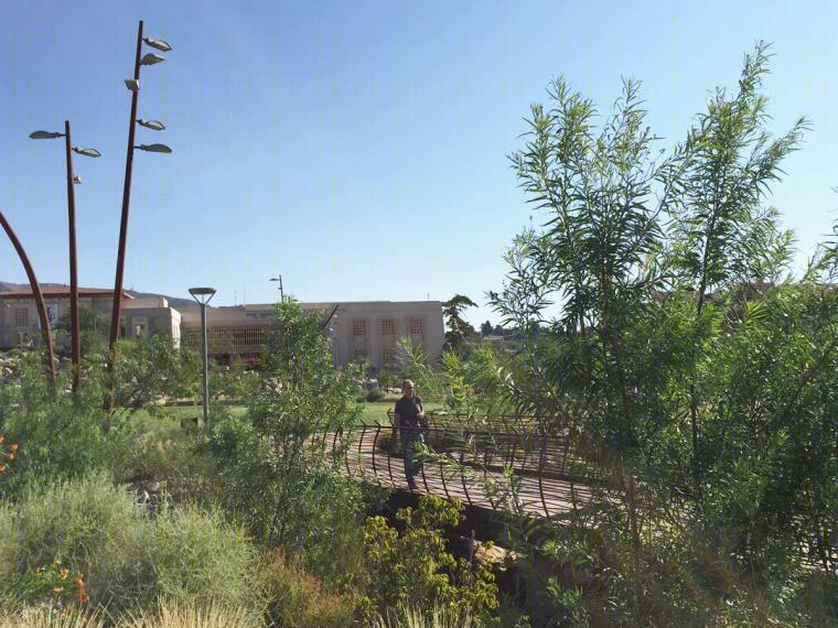德州大学 El Paso 校区世纪广场-18