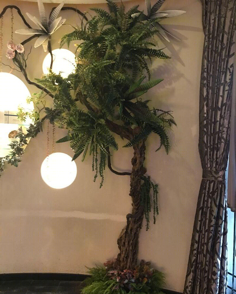登琪尔美容抗老中心-7