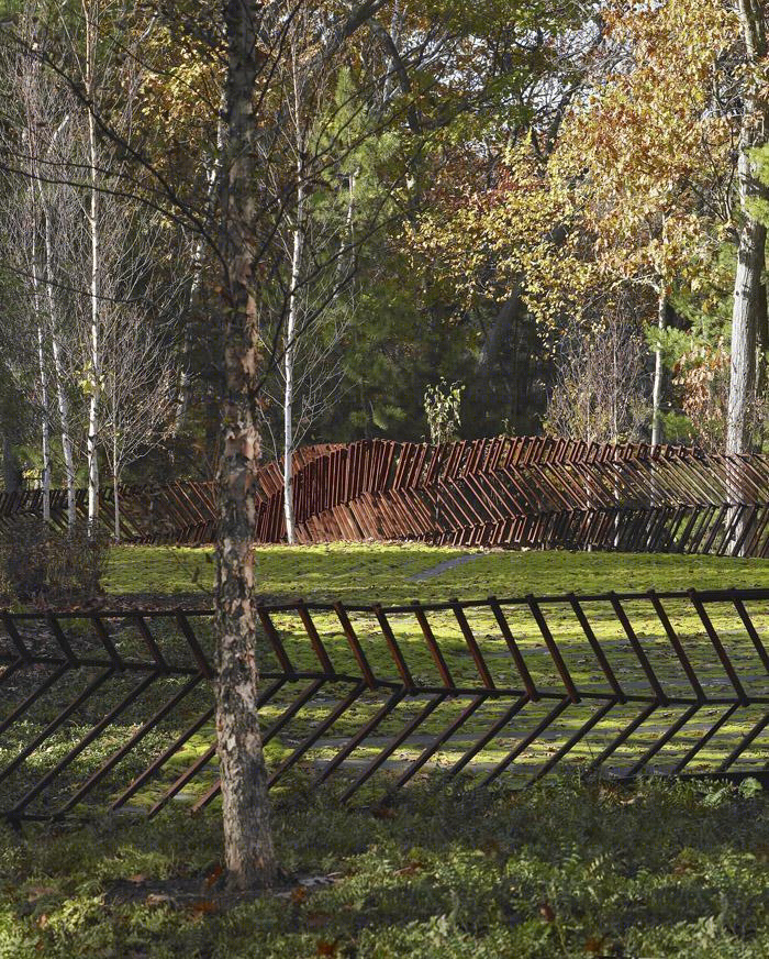 美国阔叶树森林景观-13
