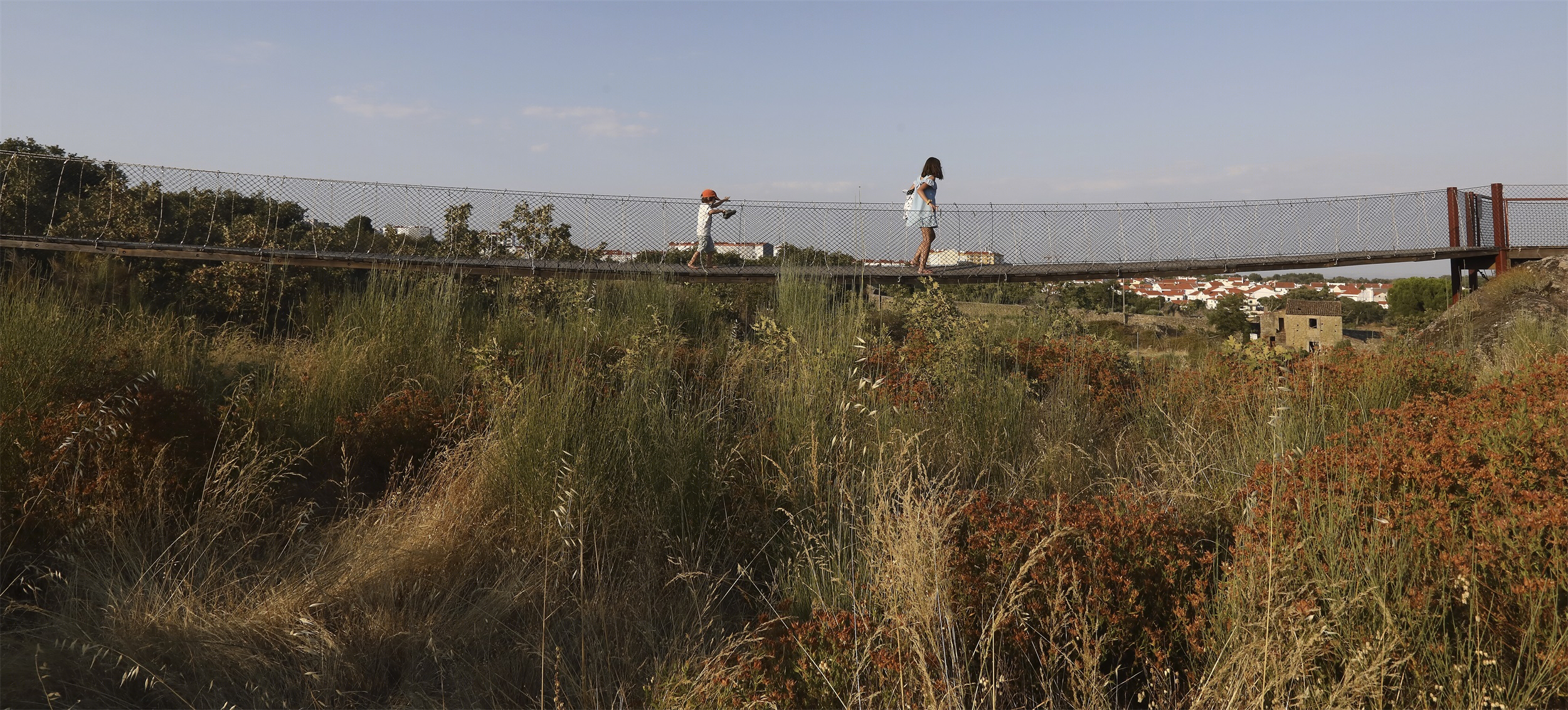 最小干预，巴罗卡尔公园设计 / Topiaris Landscape Architecture-19