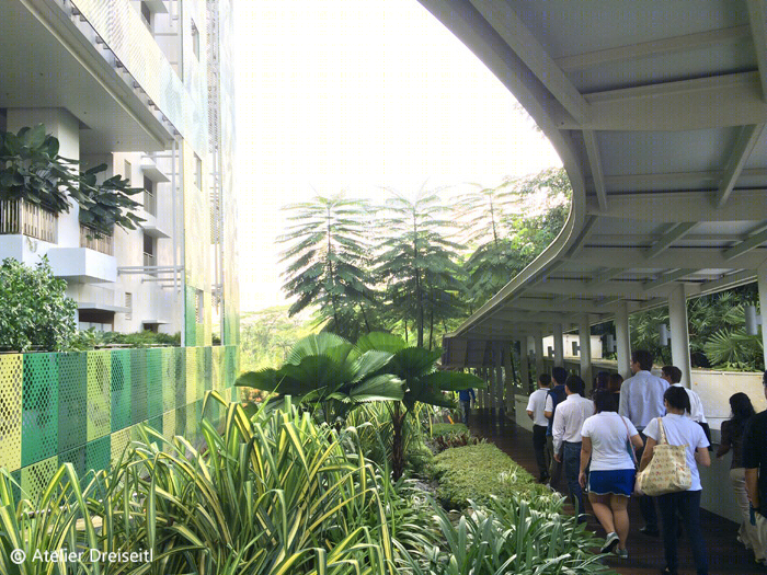 新加坡 JTC 清洁科技园-20