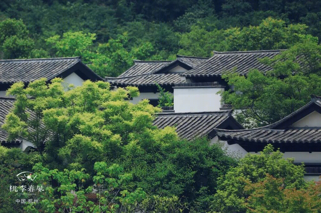 杭州精品楼盘考察活动丨中国杭州丨搜建筑&经典人居-72