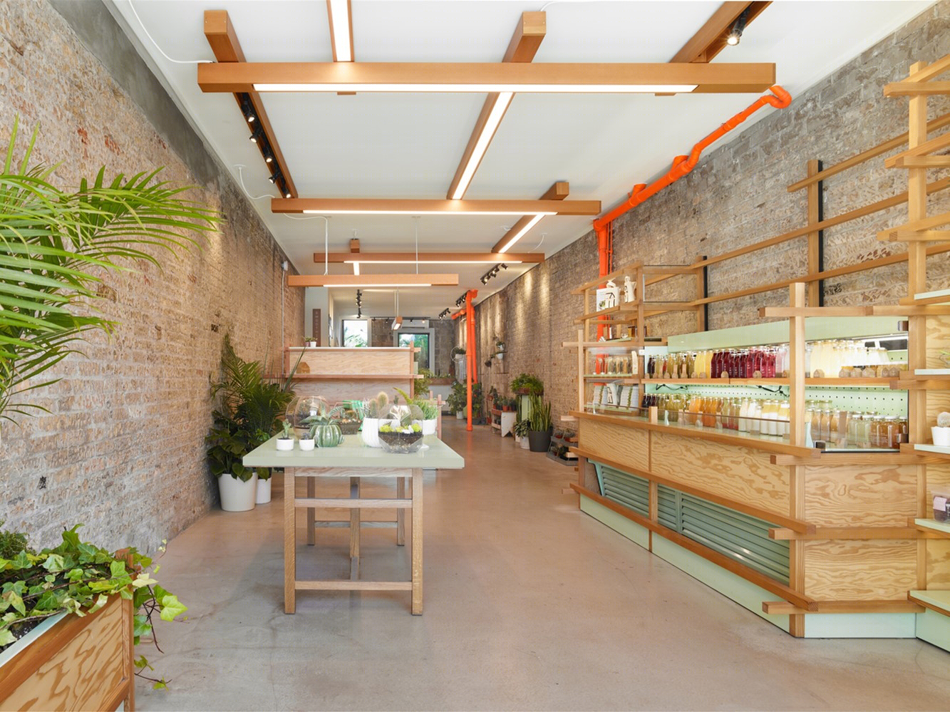 加拿大“兔子洞”商店 | 历史与自然的融合-3