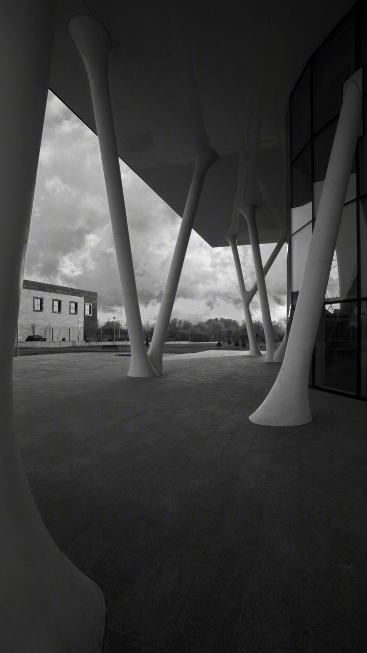 土耳其开赛利室内溜冰场丨BKA-BahadırKulArchitects-29