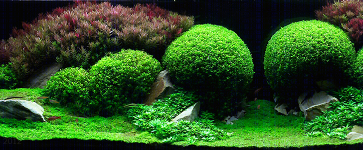 梦幻水族馆 | 水下景观的艺术创新-18
