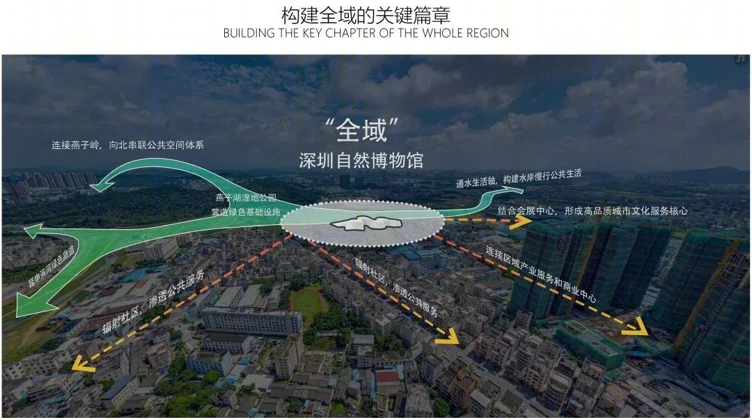 深圳自然博物馆丨贝加艾奇(B+H),3XN,筑博设计(联合体)-113