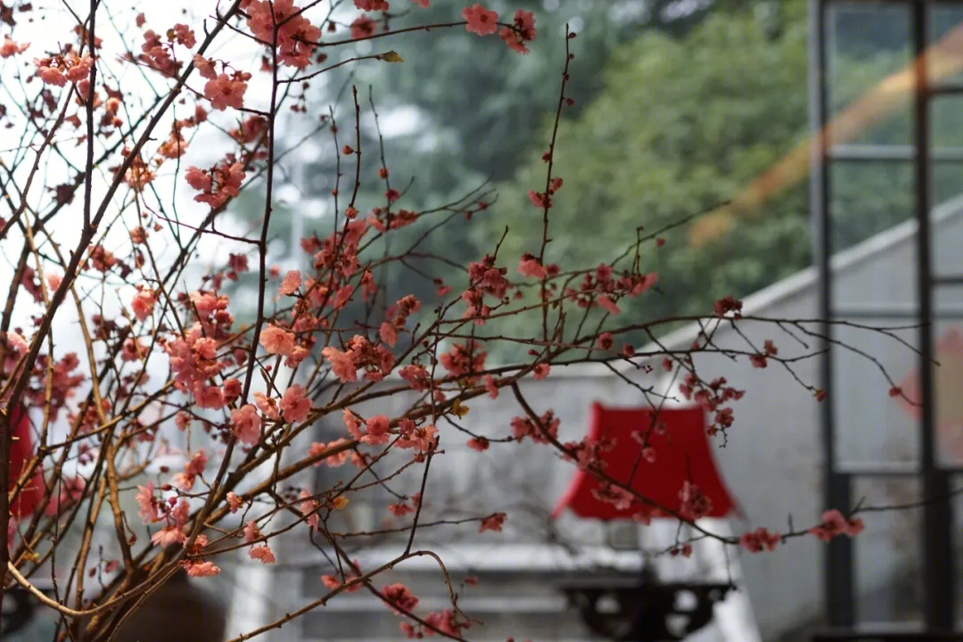 半亩蘭庭 · 践行生活美学的雅集空间丨中国合肥丨安徽布兰卡设计-117