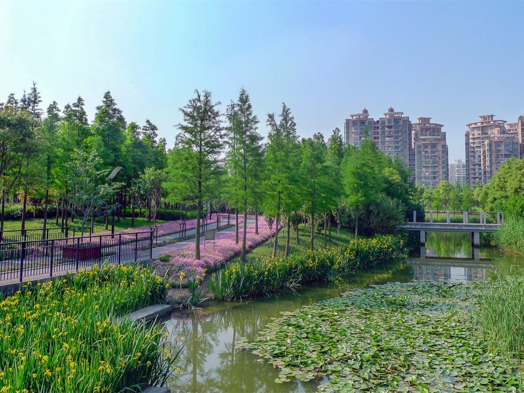 上海青浦南京公园-2