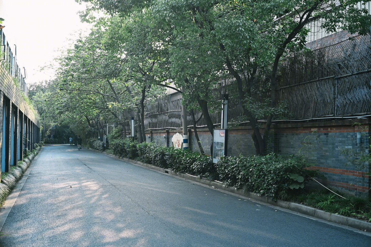 上海大宁路街道适应性改造-12